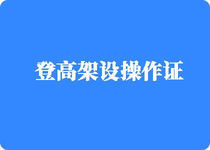 男女操屄呻吟声登高架设操作证